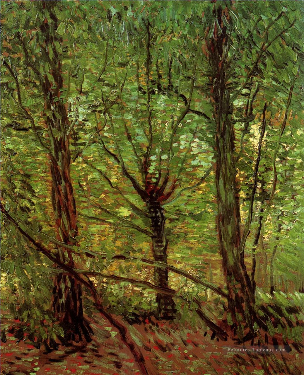 Arbres et sous bois 2 Vincent van Gogh Peintures à l'huile